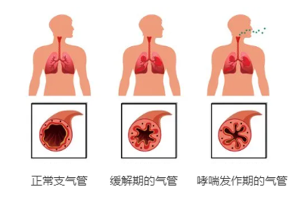 微信图片_20240508085647.png