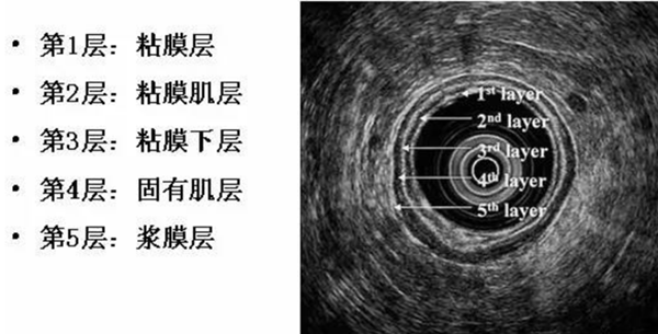 微信图片_20240827164130.png