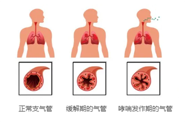 微信图片_20250514154035.jpg
