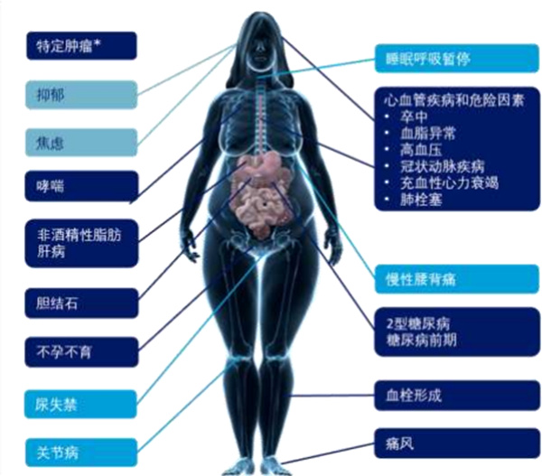 微信图片_20250514153909.jpg