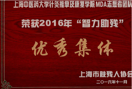 MDA志愿者团队 上海市智力助残优秀集体