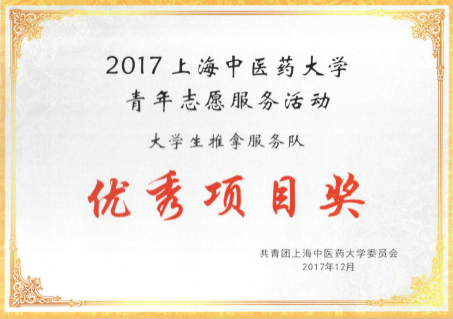 2017年大学生推拿服务队上海中医药大学青年志愿服务优秀项目